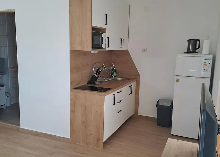 Cecilija Apartment Povljana